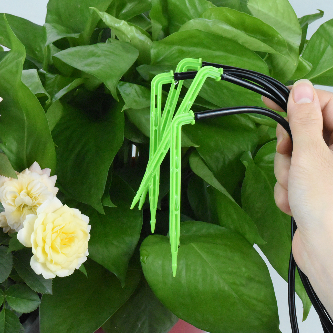 KESLA Garden 4/7mm to 3/5mm Ho – обзор и цена Smart Garden Technology