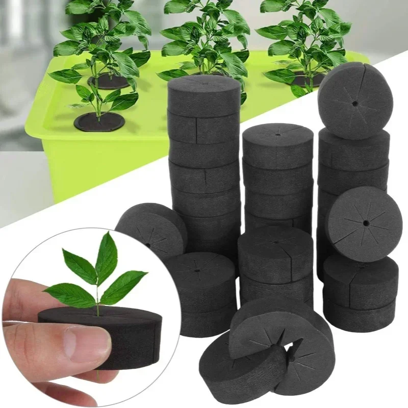 10/50pcs Garden Soilless Culti – обзор и цена Smart Garden Plastic Cups