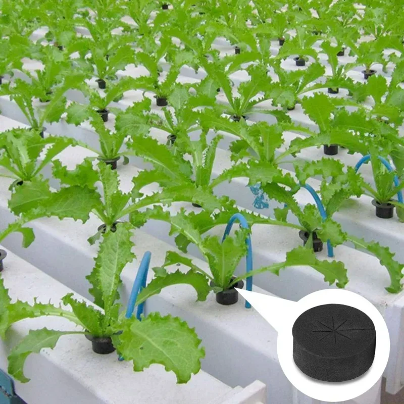 10/50pcs Garden Soilless Culti – обзор и цена Smart Garden Plastic Cups