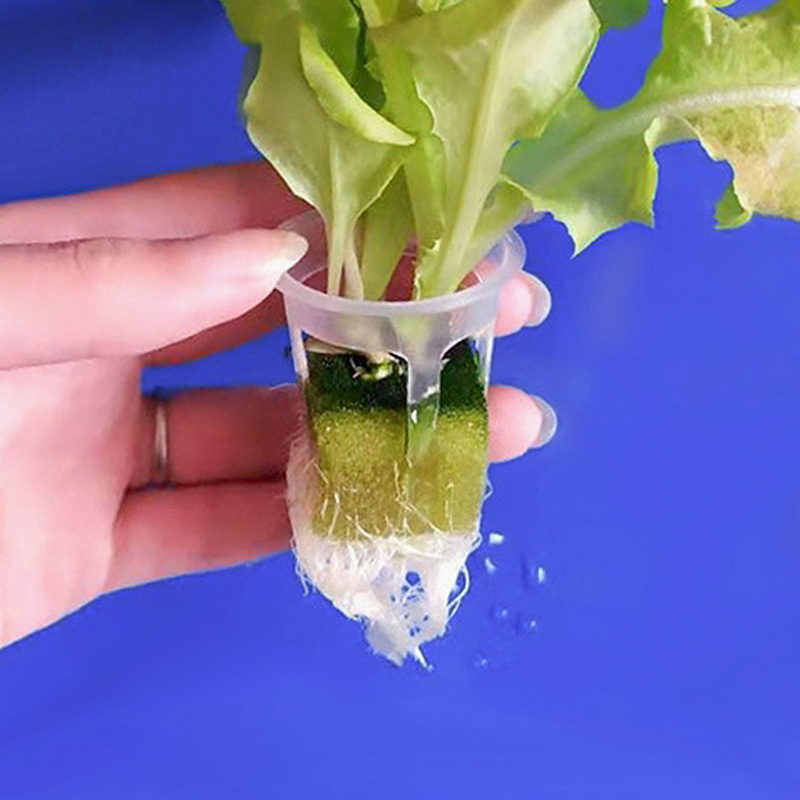 200pcs Hydroponic Basket Veget – обзор и цена Smart Garden Plastic Cups