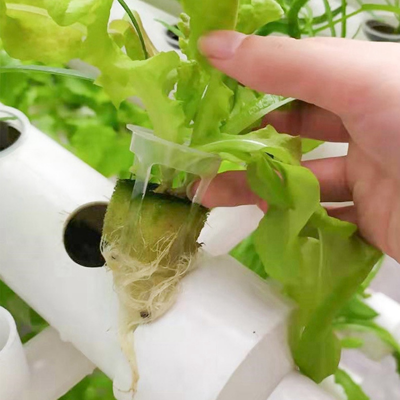 200pcs Hydroponic Basket Veget – обзор и цена Smart Garden Plastic Cups