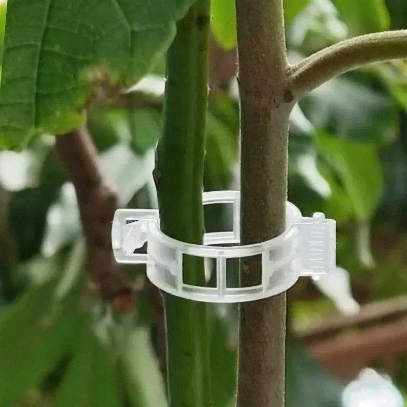 500/50PCS Plant Support Clips  – обзор и цена Smart Garden Furniture