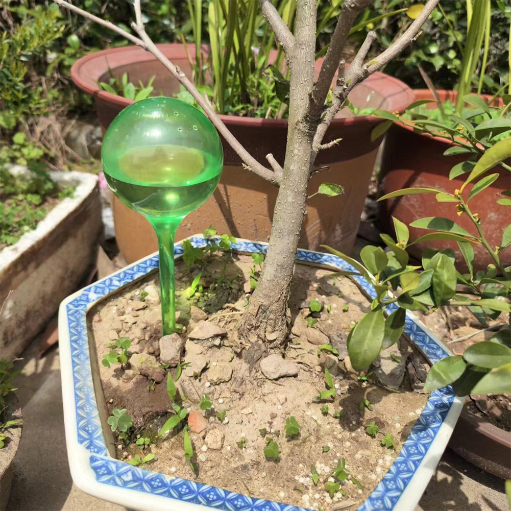 Automatic Plant Watering Bulbs – обзор и цена Smart Garden Technology