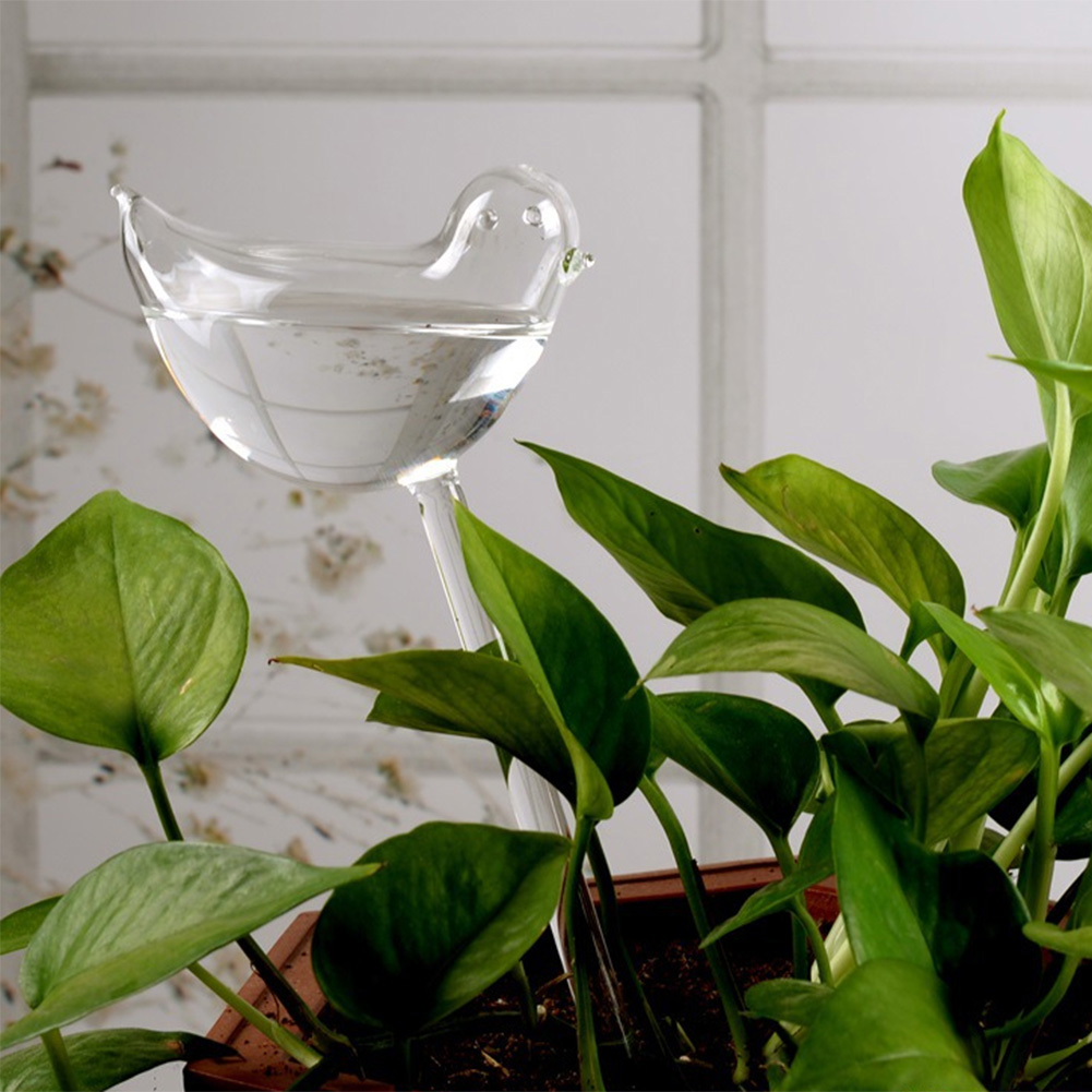Automatic Plant Watering Bulbs – обзор и цена Smart Garden Technology