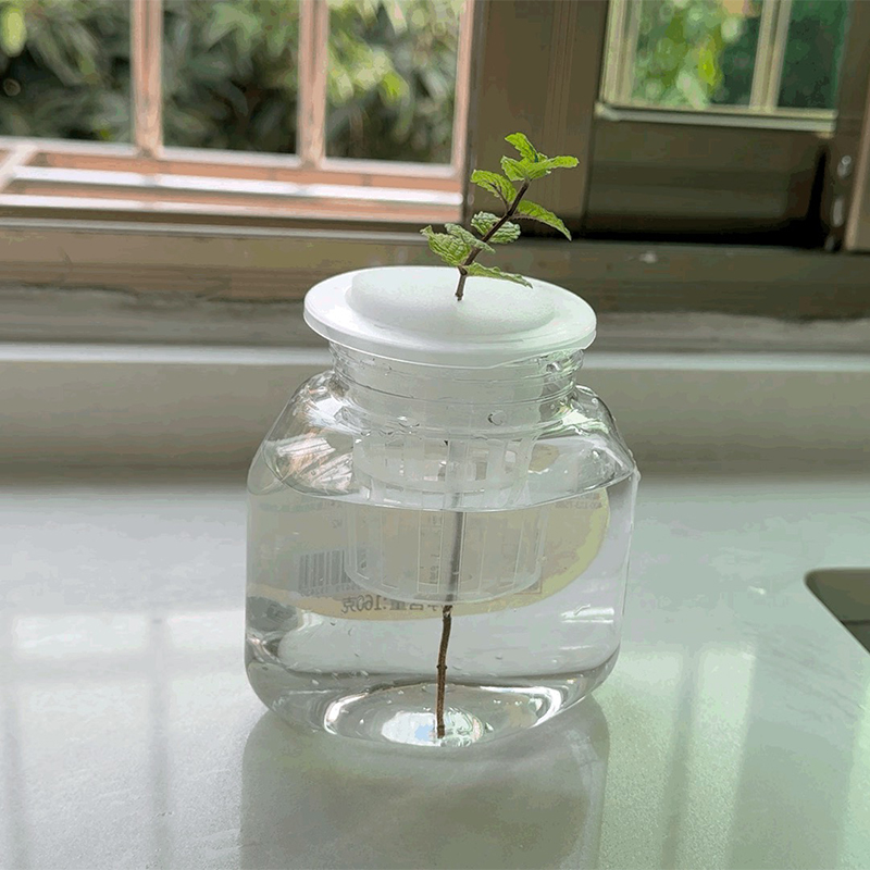 Soilless Sponge Hydroponic Pla – обзор и цена Smart Garden Plastic Cups